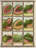 Watermelon Painting - Genesee Valley Lithograph & Co.. — artwork view