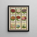 Zinnia Acroclinium Ageratum Allyssum - Genesee Valley Lithograph & Co.. — framed artwork on a wall