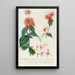 Monarda - Georg Dionysius Ehret — framed artwork on a wall