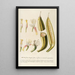 Musae II - Georg Dionysius Ehret — framed artwork on a wall