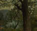 Study of an oak tree - Georg Wilhelm Issel — artwork view