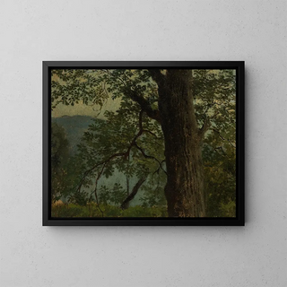 Study of an oak tree - Georg Wilhelm Issel — framed artwork on a wall