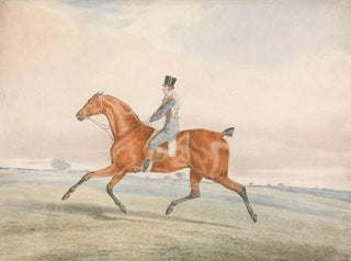 Exercise of a Thoroughbred - George Alken — artwork view