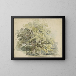 Study of the Explosion - George Andries Roth — framed artwork on a wall