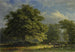 View in the Bentheim Forest - George Andries Roth — artwork view