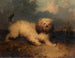 a dog - George Armfield — artwork view