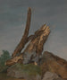 Study of rocks and branches - George Augustus Wallis — artwork view