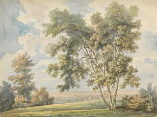 Landscape painting with trees and sheep - George Barret — artwork view