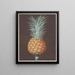 The brown pine of Havana - George Brookshaw — framed artwork on a wall