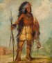 A-Wun-Ne-Wa-Be Thunder Bird - George Catlin — artwork view