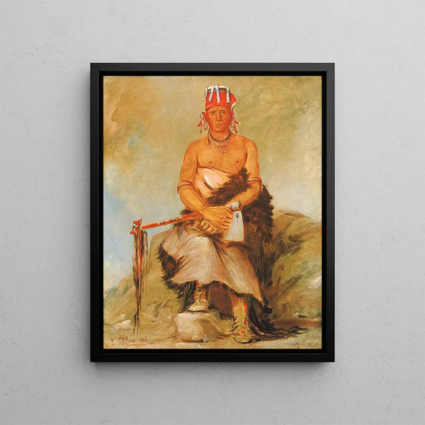 Ah-Sha-La-Cots-Ah Grain de beauté sur le front Chef du Parti républicain Pawnee - George Catlin — framed artwork on a wall