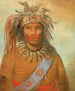 Bird of Storm by Aunimmuckkwaum - George Catlin — artwork view