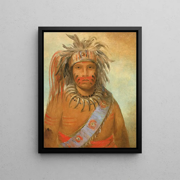 Bird of Storm by Aunimmuckkwaum - George Catlin — framed artwork on a wall