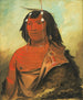 Biets-Ee-Cure Very Gentle Man - George Catlin — artwork view