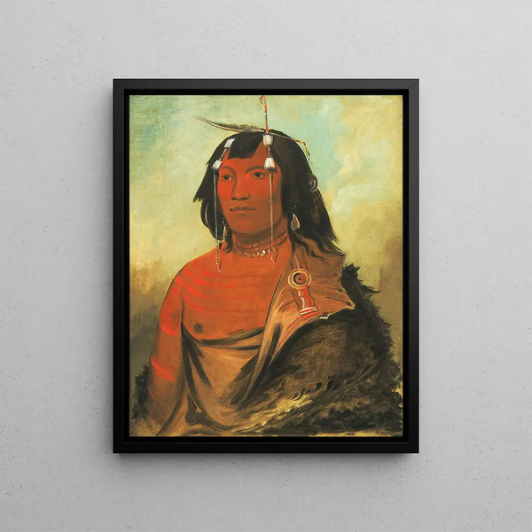 Biets-Ee-Cure Very Gentle Man - George Catlin — framed artwork on a wall