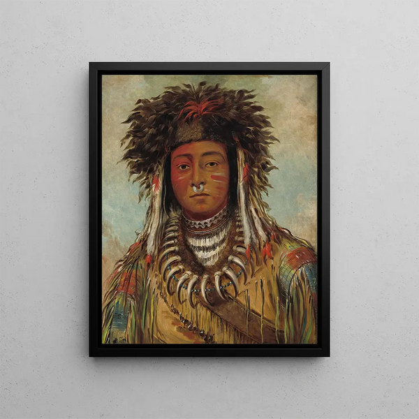 Boy Ojibwe Chief - George Catlin — framed artwork on a wall