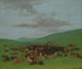 Bison hunt surrounded by the Hidatsa - George Catlin — artwork view