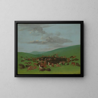 Bison hunt surrounded by the Hidatsa - George Catlin — framed artwork on a wall