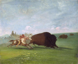 Buffalo Hunt, a single death - George Catlin — artwork view