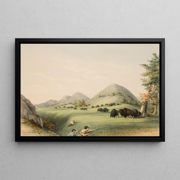 Bison hunt in a ravine - George Catlin — framed artwork on a wall