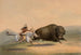 Bison Hunt No. 5 - George Catlin — artwork view