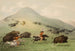 Hunting Bison on Horseback - George Catlin — artwork view