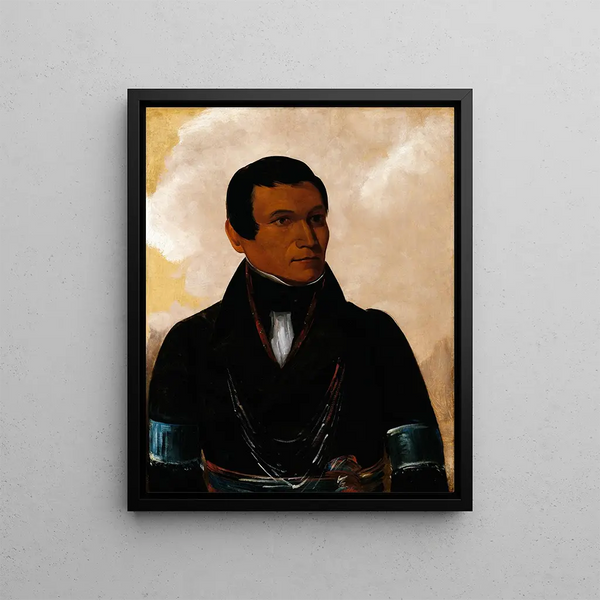 Fils malade du chef - George Catlin — framed artwork on a wall