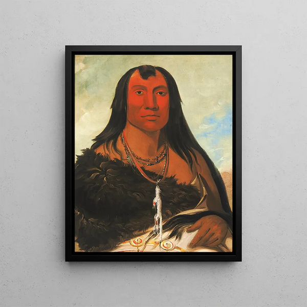 Chh-Ee-Chpes Four Wolves a mourning chief - George Catlin — framed artwork on a wall