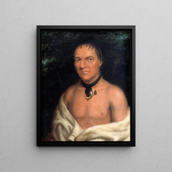 Co-Sne-Boin - George Catlin — framed artwork on a wall