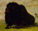 Bison mourant frappé par une flèche - George Catlin — artwork view