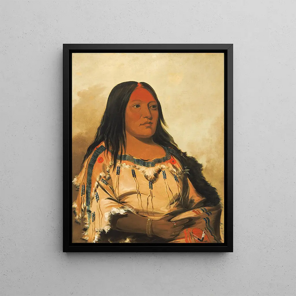 Eeh-Ns-Kim Crystal Stone Épouse du Chef - George Catlin — framed artwork on a wall