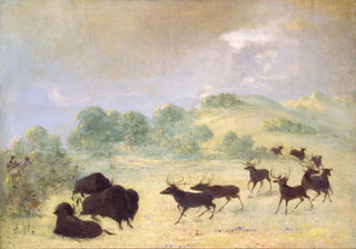 George Catlin - Elk and Buffalo Making Acquaintance Texas.webp
