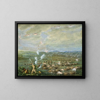 a flamingo shot in South America - George Catlin — framed artwork on a wall