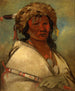 Grand Hero a Chief - George Catlin — artwork view
