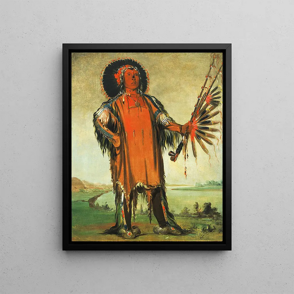 Ha-Na-T-Nu-Mak Wolf Chief Chef de la tribu - George Catlin — framed artwork on a wall