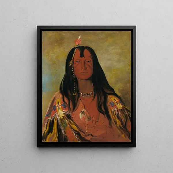 Hco-A-Hco-A-Hcotes-Min No horns on the head a brave - George Catlin — framed artwork on a wall