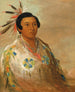 Heedohgeats of a young man - George Catlin — artwork view
