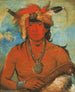 Hh-Je-Day-Ah-Shee Encounter with Brave Birds - George Catlin — artwork view
