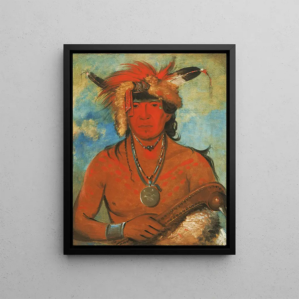 Hh-Je-Day-Ah-Shee Encounter with Brave Birds - George Catlin — framed artwork on a wall