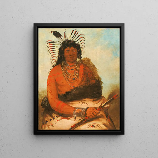 Hh-Nee The Beaver a Warrior - George Catlin — framed artwork on a wall