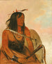 Isharyeh Celui qui porte un loup est un brave distingué - George Catlin — artwork view