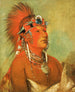 Jeehohshah cannot be thrown to the ground as a warrior - George Catlin — artwork view