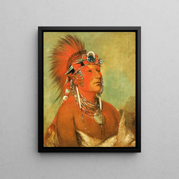 Jeehohshah cannot be thrown to the ground as a warrior - George Catlin — framed artwork on a wall