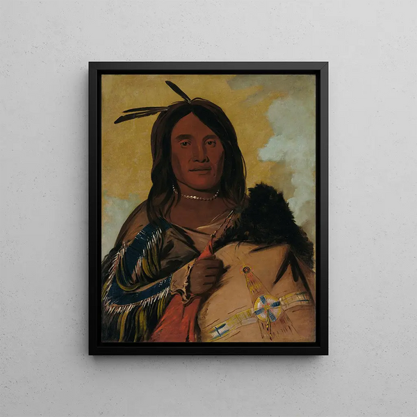 Kapskada Shell Man Un Oglala Brave - George Catlin — framed artwork on a wall