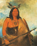 Kotsokrok Cheveux du cou des taureaux, un chef - George Catlin — artwork view