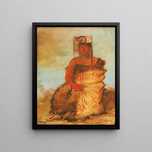 Laketoowirsha Little Chief, a Pawnee warrior from Tapage - George Catlin — framed artwork on a wall