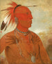 Lawhhecootslashwno Brave Chief and Skidi Wolf Pawnee - George Catlin — artwork view