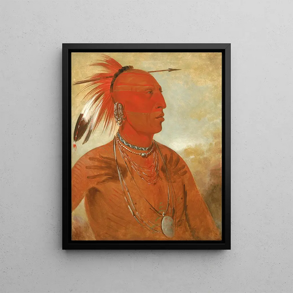 Lawhhecootslashwno Brave Chief and Skidi Wolf Pawnee - George Catlin — framed artwork on a wall