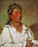 Layloahpeeisheekaw Herb Bush and Flower Semi-civilized - George Catlin — artwork view