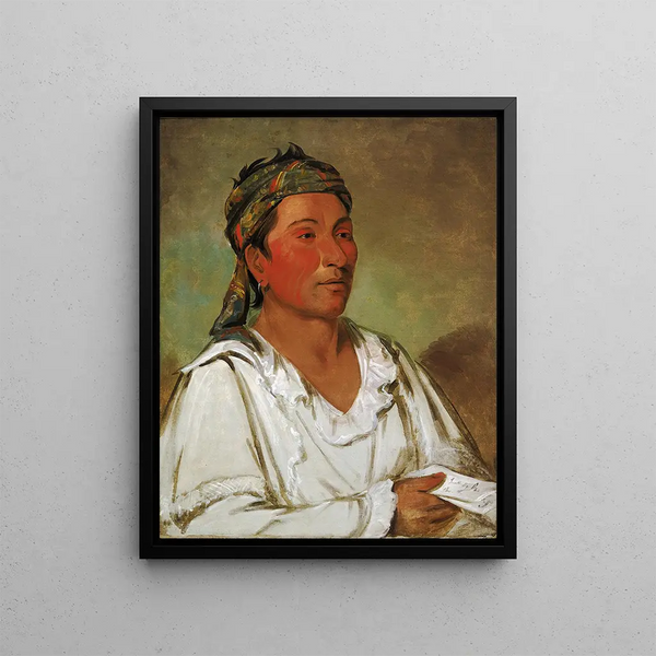 Layloahpeeisheekaw Herb Bush and Flower Semi-civilized - George Catlin — framed artwork on a wall